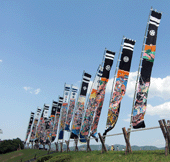 Koinobori